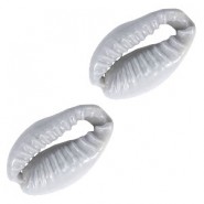 Cowrie shell bead 17x10mm Grey